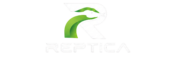 website logo