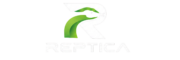 website logo